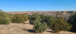 Wellfleet, Nebraska Lincoln County land for sale